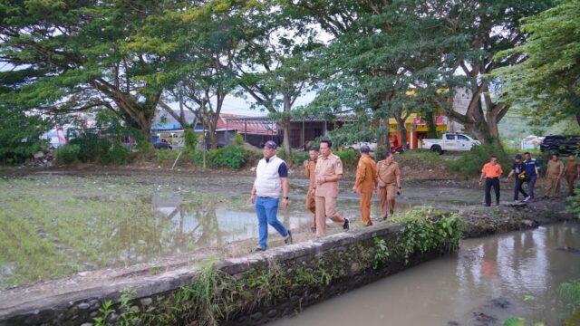 Tinjau Titik Genangan, Bupati Luwu Percepat Penataan Drainase Belopa