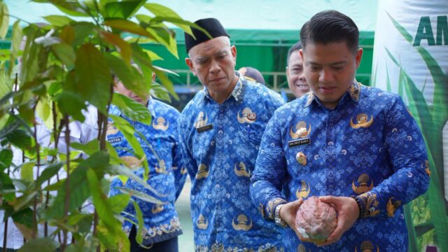 Pemkab Luwu Perkuat Kolaborasi Petani Menuju Pertanian Modern dan Berkelanjutan