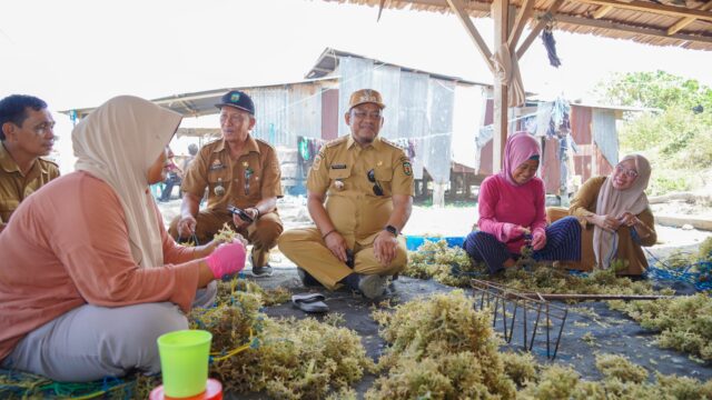 Bupati Luwu Dorong Penguatan Ekonomi Masyarakat Pesisir melalui Potensi Rumput Laut